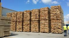 thm_IMG-20140610-WA0000.jpg