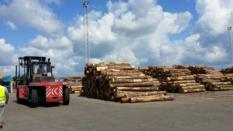 thm_IMG-20140610-WA0003.jpg