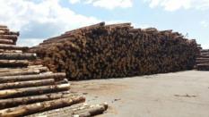 thm_IMG-20140610-WA0006.jpg